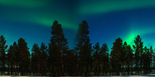 Lapponia, Capo Nord e Lofoten: un’avventura ai confini del mondo!